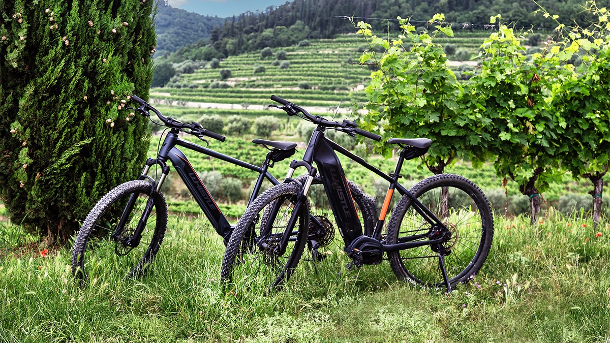 Masi Experience | Tour in cantina e degustazioni | Cantine Masi | Masi ...